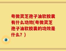 粤微灵芝孢子油软胶囊有什么功效(粤微灵芝孢子油软胶囊的功效是什么？)