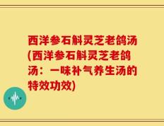 西洋参石斛灵芝老鸽汤(西洋参石斛灵芝老鸽汤：一味补气养生汤的特效功效)