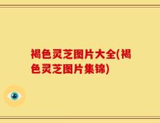 褐色灵芝图片大全(褐色灵芝图片集锦)