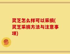 灵芝怎么样可以采摘(灵芝采摘方法与注意事项)