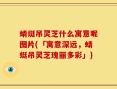 蜻蜓吊灵芝什么寓意呢图片(「寓意深远，蜻蜓吊灵芝瑰丽多彩」)