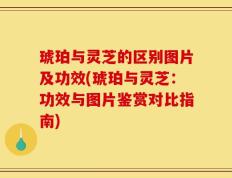 琥珀与灵芝的区别图片及功效(琥珀与灵芝：功效与图片鉴赏对比指南)