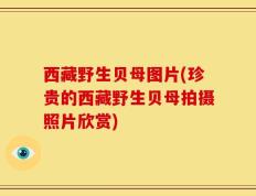 西藏野生贝母图片(珍贵的西藏野生贝母拍摄照片欣赏)