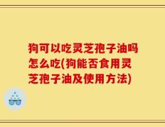 狗可以吃灵芝孢子油吗怎么吃(狗能否食用灵芝孢子油及使用方法)