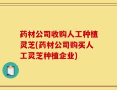 药材公司收购人工种植灵芝(药材公司购买人工灵芝种植企业)