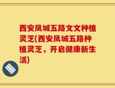西安凤城五路文文种植灵芝(西安凤城五路种植灵芝，开启健康新生活)