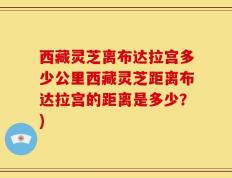 西藏灵芝离布达拉宫多少公里西藏灵芝距离布达拉宫的距离是多少？)
