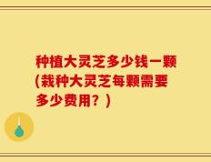 种植大灵芝多少钱一颗(栽种大灵芝每颗需要多少费用？)