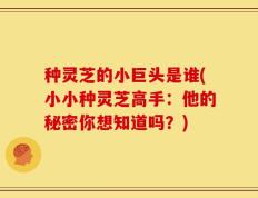 种灵芝的小巨头是谁(小小种灵芝高手：他的秘密你想知道吗？)