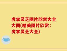 虎掌灵芝图片欣赏大全大图(精美图片欣赏：虎掌灵芝大全)