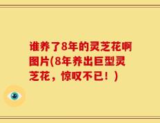 谁养了8年的灵芝花啊图片(8年养出巨型灵芝花，惊叹不已！)