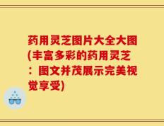 药用灵芝图片大全大图(丰富多彩的药用灵芝：图文并茂展示完美视觉享受)