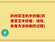 药材灵芝的手抄报(药用灵芝手抄报：功效、食用方法和制作过程)