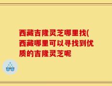 西藏吉隆灵芝哪里找(西藏哪里可以寻找到优质的吉隆灵芝呢