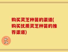 购买灵芝种苗的渠道(购买优质灵芝种苗的推荐渠道)