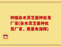 种植杂木灵芝菌种批发厂家(杂木灵芝菌种批发厂家，质量有保障)