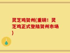 灵芝鸡贺州(重磅！灵芝鸡正式登陆贺州市场)