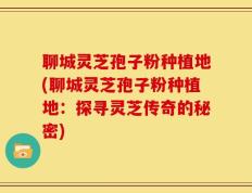 聊城灵芝孢子粉种植地(聊城灵芝孢子粉种植地：探寻灵芝传奇的秘密)