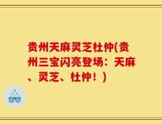 贵州天麻灵芝杜仲(贵州三宝闪亮登场：天麻、灵芝、杜仲！)
