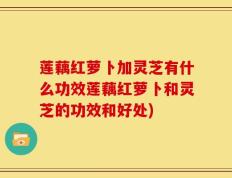 莲藕红萝卜加灵芝有什么功效莲藕红萝卜和灵芝的功效和好处)