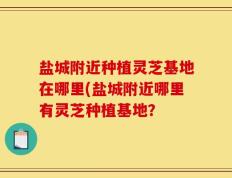 盐城附近种植灵芝基地在哪里(盐城附近哪里有灵芝种植基地？