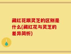 藏红花跟灵芝的区别是什么(藏红花与灵芝的差异简析)