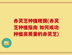 赤灵芝种植规摸(赤灵芝种植指南 如何成功种植高质量的赤灵芝)