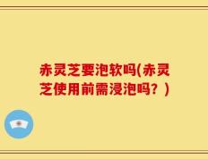赤灵芝要泡软吗(赤灵芝使用前需浸泡吗？)