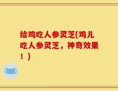 给鸡吃人参灵芝(鸡儿吃人参灵芝，神奇效果！)