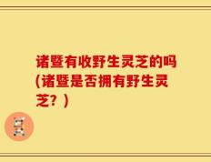 诸暨有收野生灵芝的吗(诸暨是否拥有野生灵芝？)