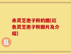赤灵芝孢子粉的图(红色灵芝孢子粉图片及介绍)