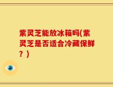 紫灵芝能放冰箱吗(紫灵芝是否适合冷藏保鲜？)