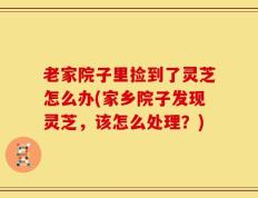 老家院子里捡到了灵芝怎么办(家乡院子发现灵芝，该怎么处理？)