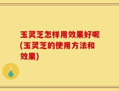 玉灵芝怎样用效果好呢(玉灵芝的使用方法和效果)