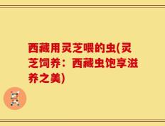西藏用灵芝喂的虫(灵芝饲养：西藏虫饱享滋养之美)