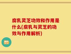腐乳灵芝功效和作用是什么(腐乳与灵芝的功效与作用解析)