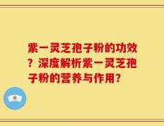 紫一灵芝孢子粉的功效？深度解析紫一灵芝孢子粉的营养与作用？