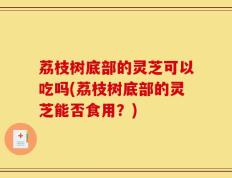 荔枝树底部的灵芝可以吃吗(荔枝树底部的灵芝能否食用？)