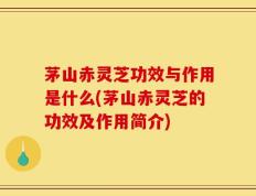 茅山赤灵芝功效与作用是什么(茅山赤灵芝的功效及作用简介)
