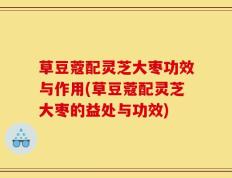 草豆蔻配灵芝大枣功效与作用(草豆蔻配灵芝大枣的益处与功效)