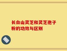 长白山灵芝和灵芝孢子粉的功效与区别