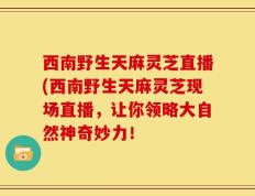 西南野生天麻灵芝直播(西南野生天麻灵芝现场直播，让你领略大自然神奇妙力！