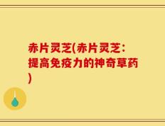 赤片灵芝(赤片灵芝：提高免疫力的神奇草药)