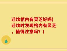 迁坟棺内有灵芝好吗(迁坟时发现棺内有灵芝，值得注意吗？)