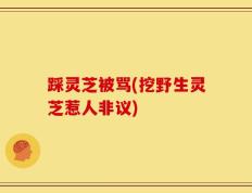 踩灵芝被骂(挖野生灵芝惹人非议)