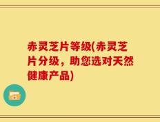 赤灵芝片等级(赤灵芝片分级，助您选对天然健康产品)