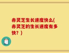 赤灵芝生长速度快么(赤灵芝的生长速度有多快？)