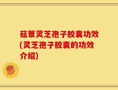 菇蕈灵芝孢子胶囊功效(灵芝孢子胶囊的功效介绍)