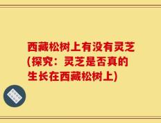 西藏松树上有没有灵芝(探究：灵芝是否真的生长在西藏松树上)