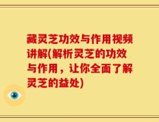 藏灵芝功效与作用视频讲解(解析灵芝的功效与作用，让你全面了解灵芝的益处)